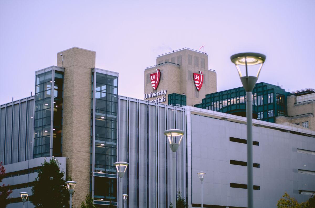 LabNeer SIGN scene